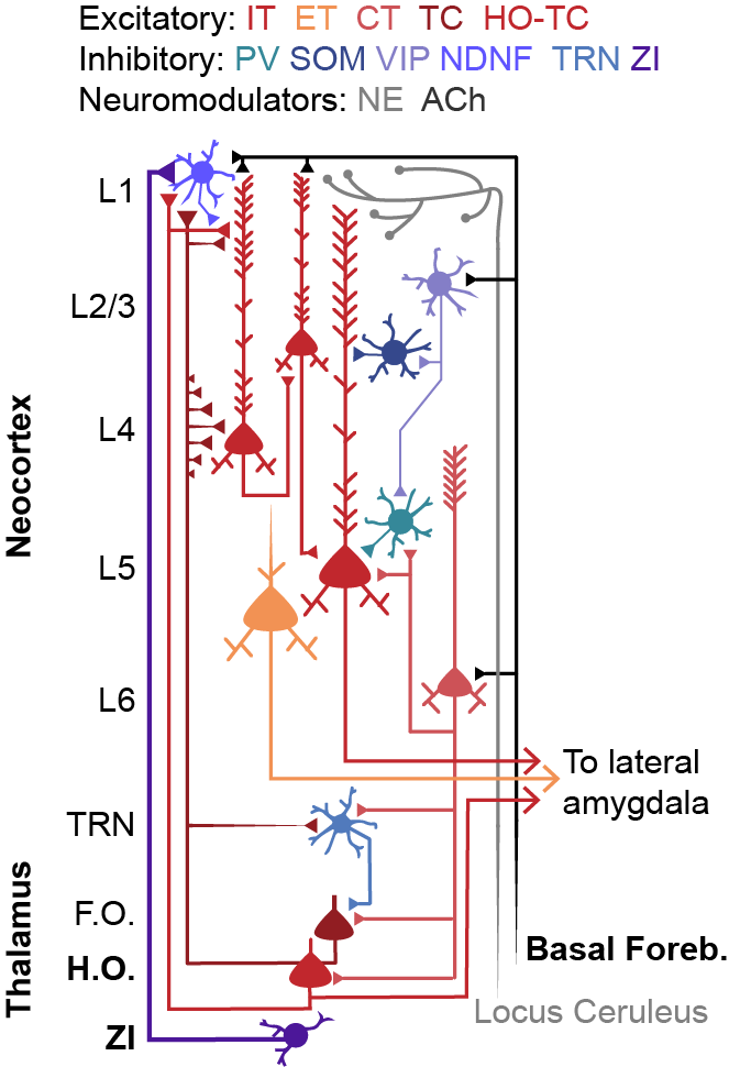 Figure from the lab's sensation research.