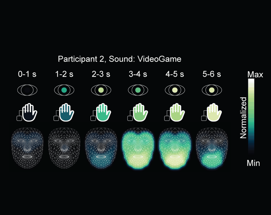 Auditory autonomic measurements